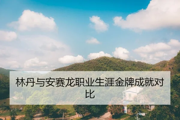 林丹与安赛龙职业生涯金牌成就对比
